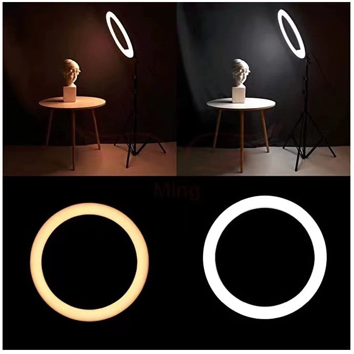 Ring Light Com Tripé (2,10m) - 8 polegadas